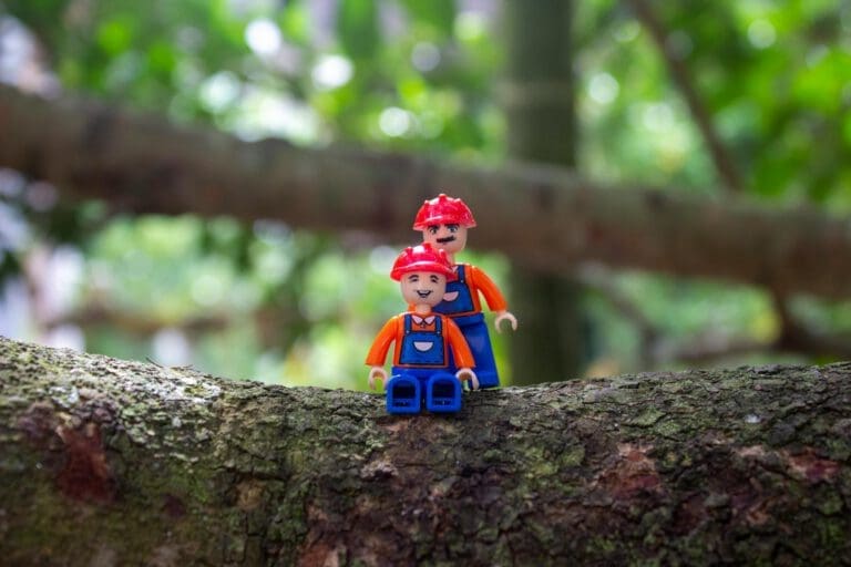 Texas AFOL Guide: Adult LEGO Clubs, TSLUG & Brick Conventions 2026